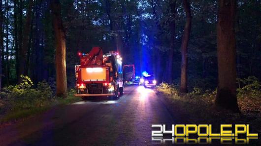 Wypadek pomiędzy Kadłubem Turawskim a Rzędowem. Samochód uderzył w drzewo 