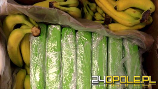 160 kg kokainy w bananach. Narkotyki trafiły do polskich sklepów