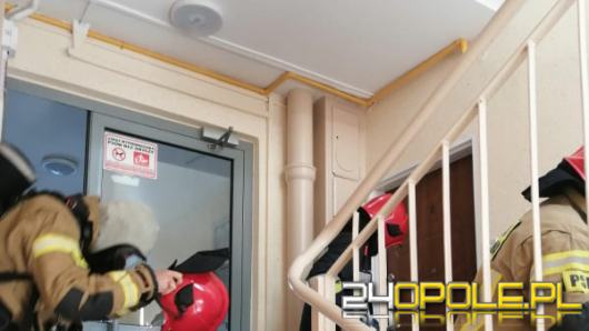 Ulatniający się gaz w mieszkaniu. Strażacy wyważyli drzwi