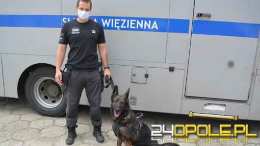 "Nabu" wraz z przewodnikiem pomogli strzeleckim policjantom