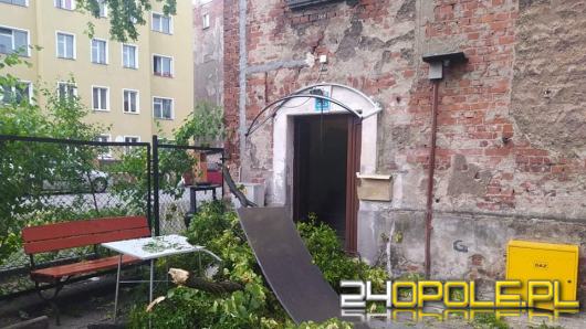 Ponad 50 interwencji strażaków związanych z usuwaniem skutków burz