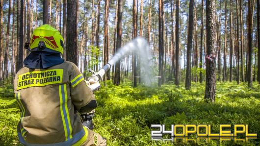 9 na 10 pożarów leśnych wywołanych jest przez działalność człowieka