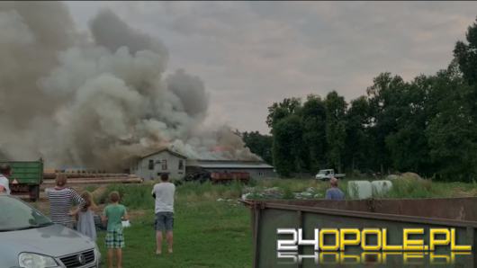 Pożar dużej hali z drewnem w powiecie strzeleckim. Strażacy walczyli kilka godzin