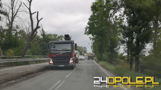 Utrudnienia na ulicy Luboszyckiej w Opolu. Trwa remont nawierzchni