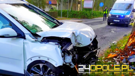 KMP Opole poszukuje świadków wypadku w Dobrzeniu Wielkim