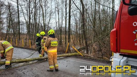 Silny wiatr w całym województwie. Strażacy wyjeżdżają do zdarzeń