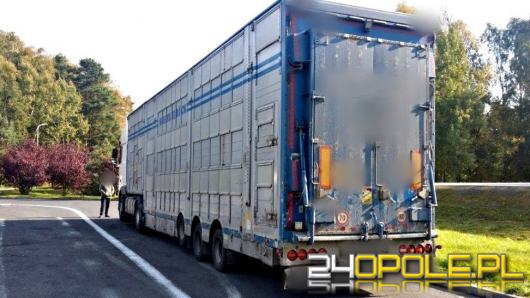 Pracowali za kółkiem ponad 30 godzin. Rażące naruszenia ukarane przez WITD