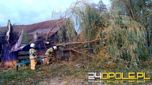Strażacy odnotowali 323 zdarzenia związane z silnym wiatrem w województwie