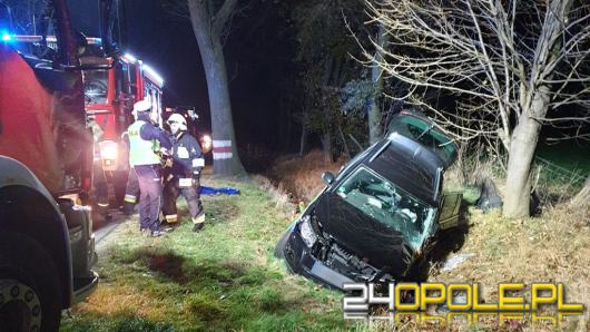 Wypadek na trasie Bierdzany - Olesno