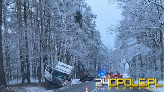 Samochód ciężarowy wypadł z drogi na trasie Opole-Kluczbork