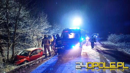 Kędzierzyn-Koźle: Samochód osobowy wypadł z drogi