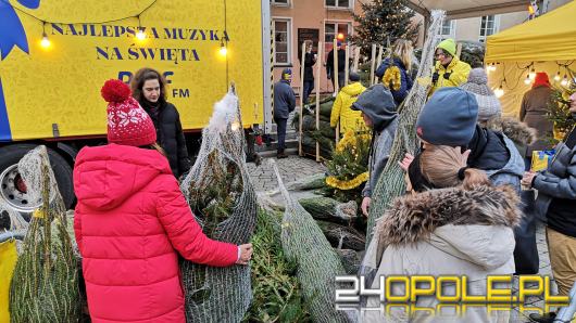 RMF rozdało ponad 1000 choinek