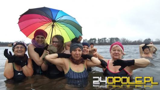 "Morsy" rozmnożyły się w tempie trudnym do wyjaśnienia. To jednak dobry i zdrowy trend