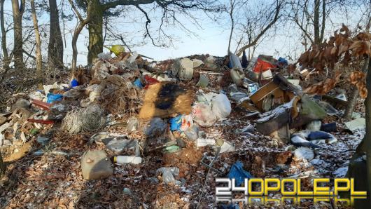 Z oleskich lasów wywieziono kilkadziesiąt ton śmieci!