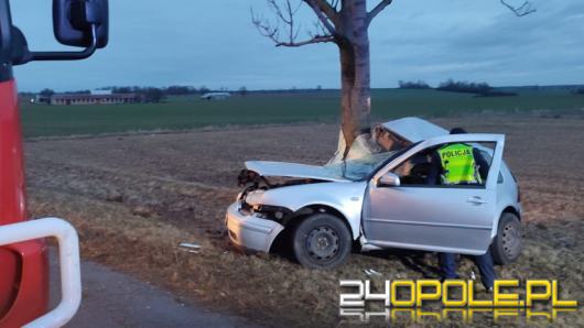 Wypadek w powiecie strzeleckim. Kierujący samochodem osobowym uderzył w drzewo