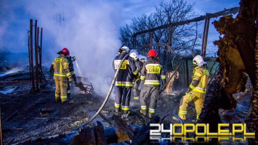13 zastępów straży gasiło pożar hali z drewnem w Prószkowie
