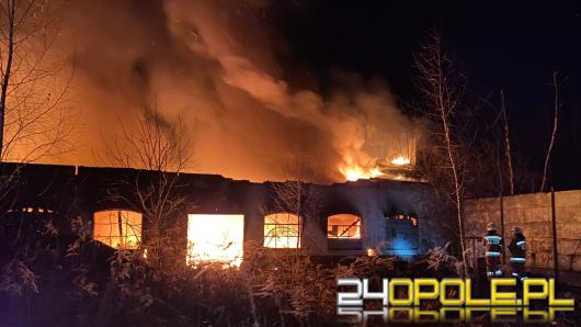 10 zastępów straży gasiło pożar w powiecie krapkowickim