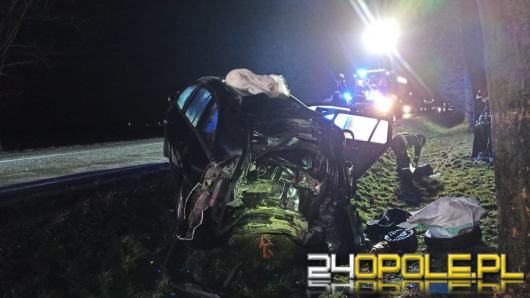 Wypadek na DK11. Opel uderzył w drzewo