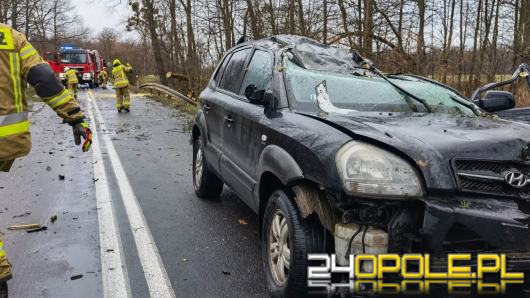 Drzewo spadło na jadący samochód. Interweniowali strażacy