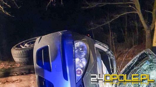 Szaleńcza ucieczka pijanego kierowcy przed policyjną kontrolą zakończona na drzewie