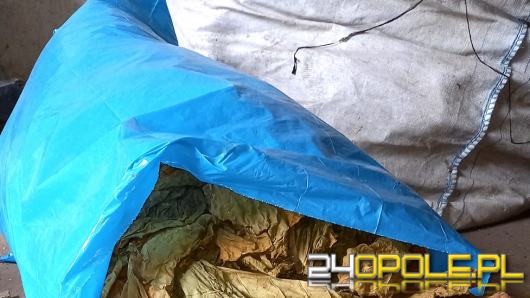 Kryminalni zabezpieczyli nielegalny tytoń oraz papierosy