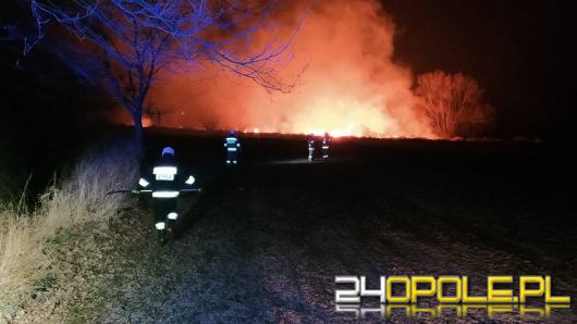 Dwa zastępy straży walczyły z pożarem traw w Lipkach