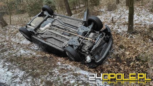 Dachowanie w Boryczy