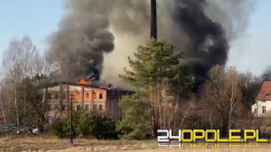Strażacy nadal działają w Szydłowie, gdzie doszło do pożaru nieużytków oraz dawnej cegielni