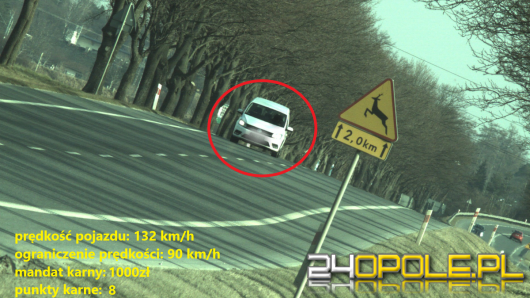 Kierowco - noga z gazu!