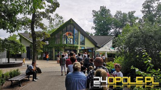 Uchodźcy z Ukrainy do opolskiego zoo wejdą za symboliczną złotówkę