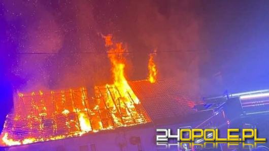 Pożar budynku wielorodzinnego w gminie Wilków. Ewakuowano 20 osób, w tym 4 dzieci 
