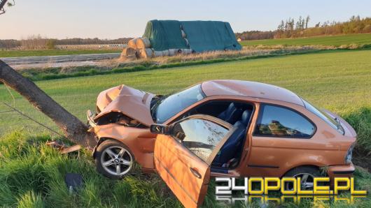 BMW uderzyło w drzewo w powiecie nyskim. 3 osoby, w tym dziecko trafiły do szpitala