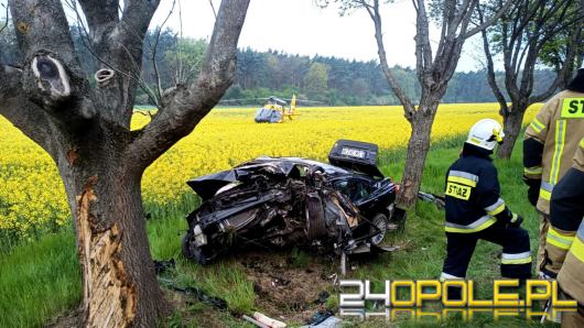 Samochód uderzył w drzewo. W środku trójka dzieci