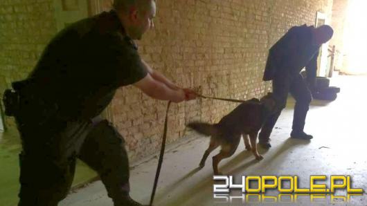 Wpadł na gorącym uczynku