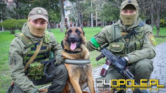 Rosjanie porzucili psa. Teraz walczy po stronie Ukrainy