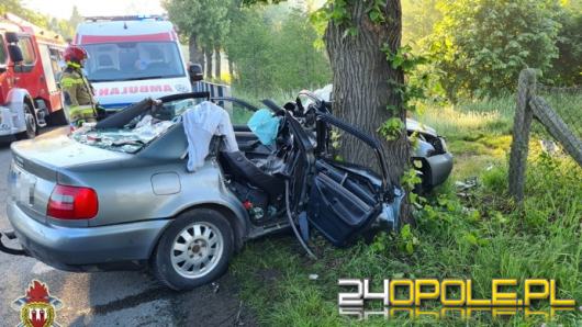 Poważny wypadek w gminie Byczyna. Kierujący Audi uderzył w drzewo
