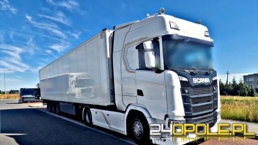 Międzynarodowy przewóz mięsa z nieprawidłowym świadectwem ATP