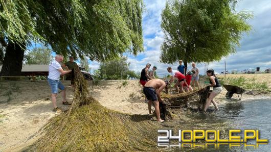 Społecznicy oczyścili jezioro Malina z moczarki. Jest bezpieczniej!