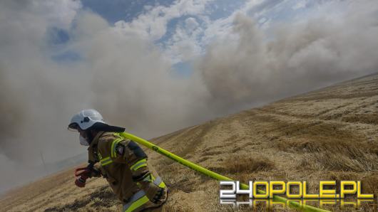Szybka reakcja rolników sprawiła, że strażacy opanowali wielki pożar ścierniska