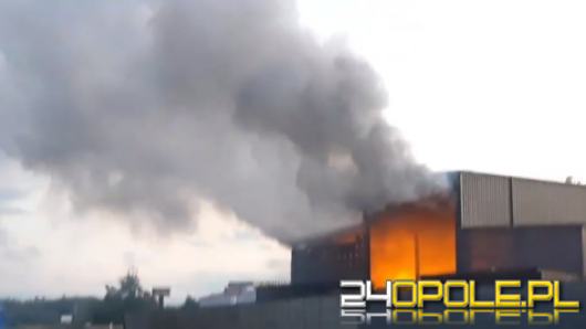 Kilkanaście zastępów straży działa w Skarbimierzu-Osiedle. Pali się tlenek glinu w zakładzie