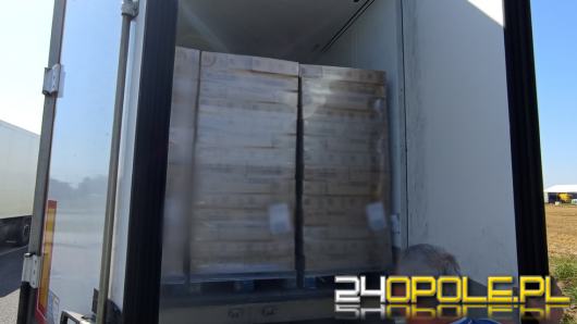 Transport lodów zatrzymany przez WITD. Stwierdzono nieprawidłowości