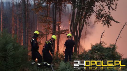 Polscy strażacy pomagają gasić pożar w czeskim parku narodowym