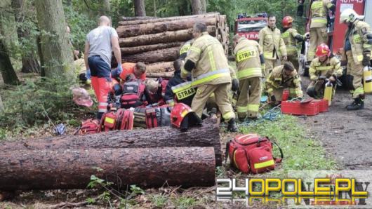 Drewniane kłody spadły na chłopca przebywającego w lesie. Lądował śmigłowiec LPR