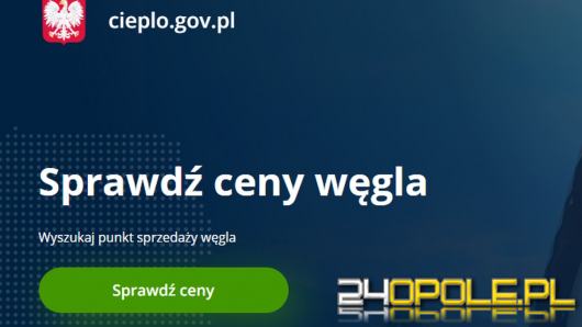 Rząd uruchomił porównywarkę cen węgla. To brzmi jak ponury żart. Sprawdzamy, jak działa