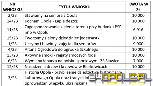 Inicjatywa lokalna - 10 na 15 złożonych wniosków zostanie zrealizowanych