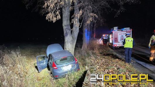 Wypadek w Ciepielowicach. Auto uderzyło w drzewo