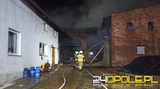 Ogromne straty po pożarze w miejscowości Rodoszowy. Z ogniem walczyło 10 zastępów straży