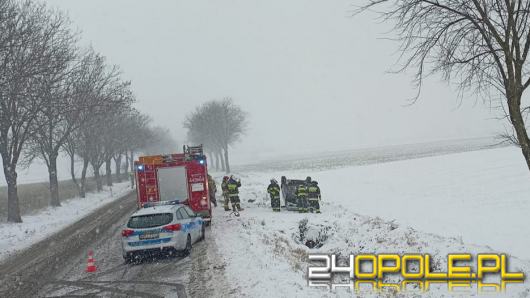 Dachowanie w powiecie krapkowickim. Dużo pracy w rękach służb