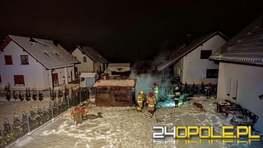 Strażacy działali w Praszce. Doszło do pożaru drewnianej wiaty