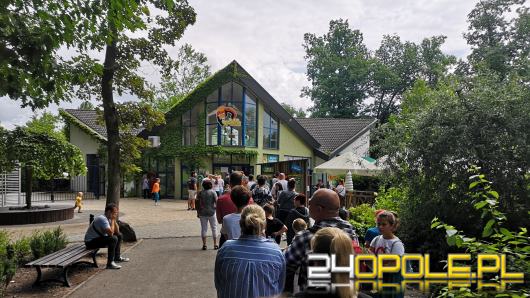 Bilety do opolskiego zoo podrożały 